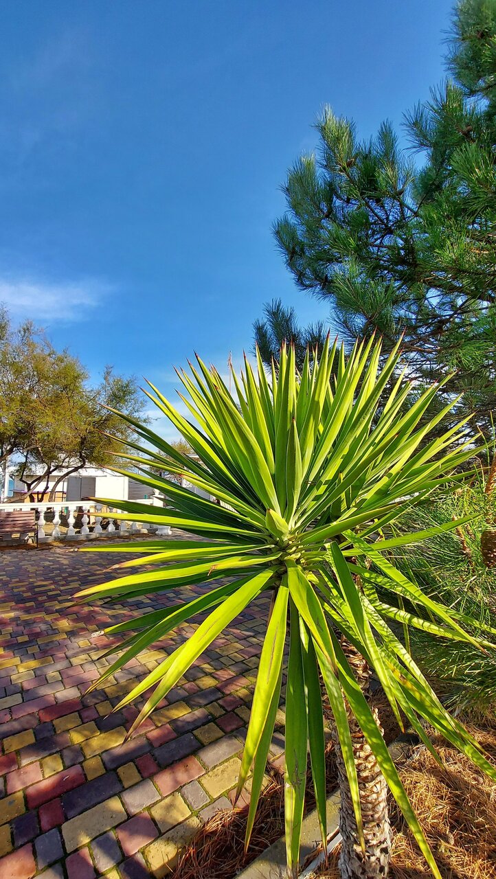 Гостиница Гранд Отель Аквамарин Ру Севастополь-157