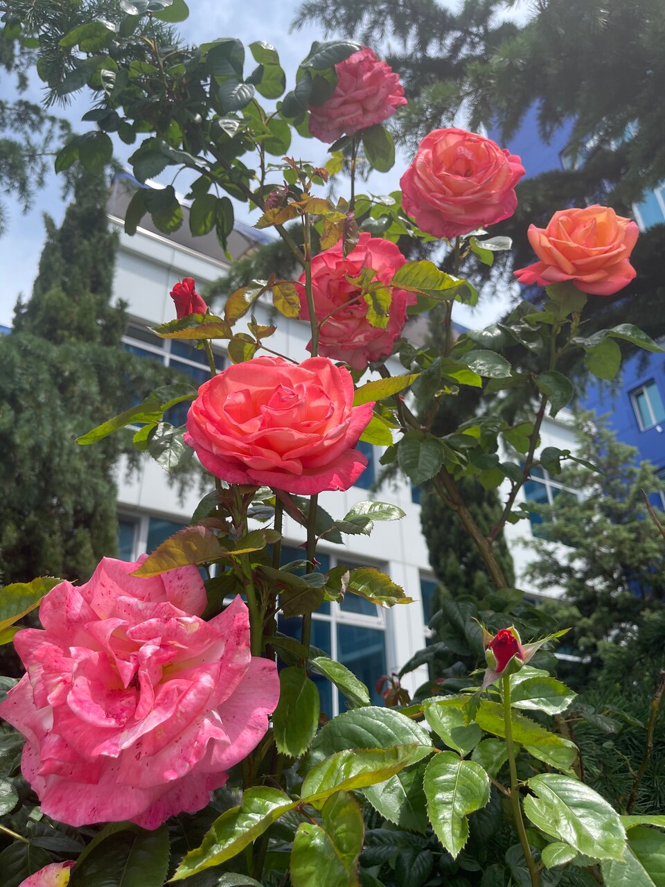 Гостиница Гранд Отель Аквамарин Ру Севастополь-145