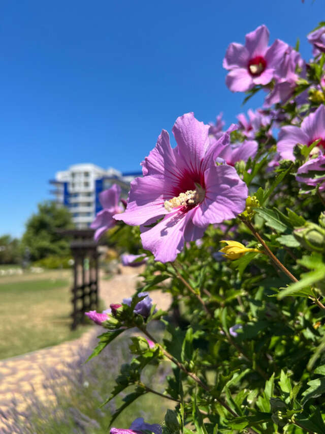 Гостиница Гранд Отель Аквамарин Ру Севастополь-132