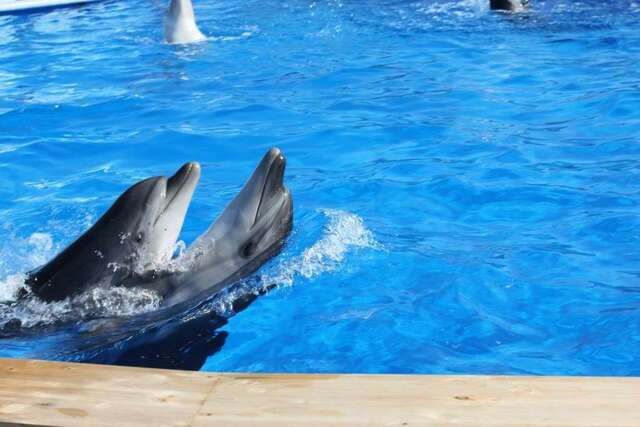 Гостиница Гранд Отель Аквамарин Ру Севастополь-137